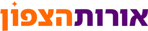 כותרת.png